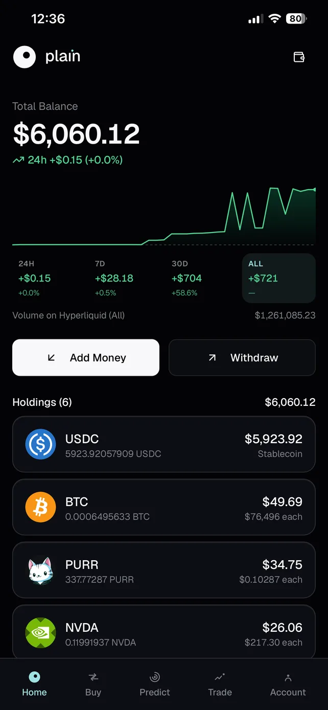 PLAIN on a phone: total balance and portfolio chart, 24-hour to all-time performance, add-money and withdraw buttons, and the list of holdings.